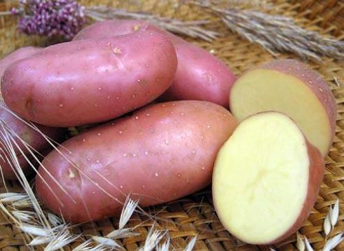 Елітна картопля - вибираємо сорт