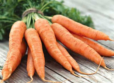 Вирощуємо красиву і смачну моркву