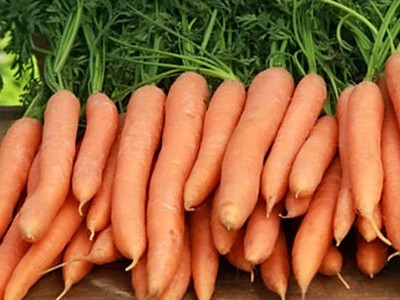 Вирощування моркви