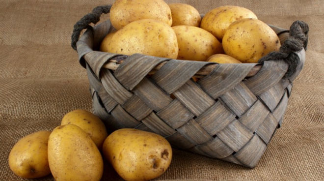Топ-7 популярних сортів картоплі