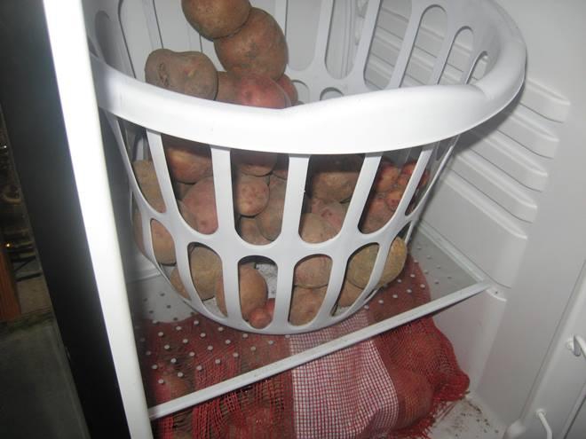 Зберігання картоплі в холодильнику