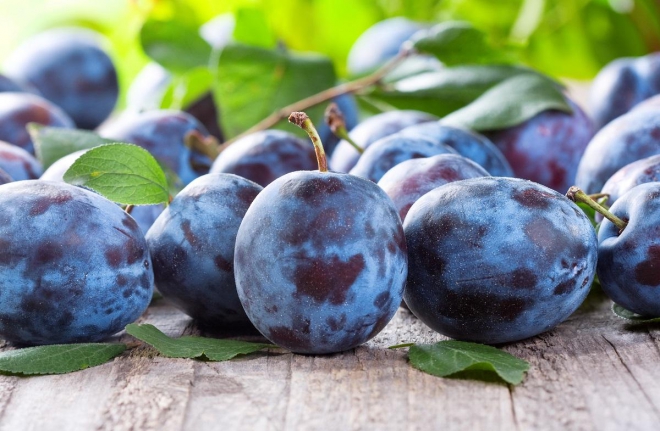 Сині сливи / fresh plums on wooden table