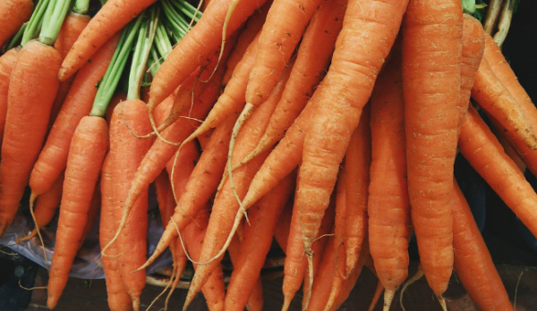 Про зберігання моркви в пивниці