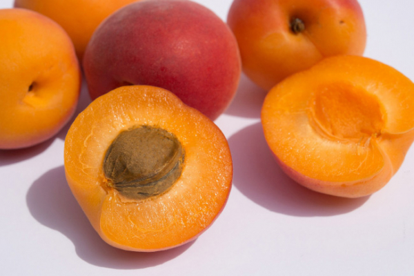 Як виростити абрикос з кісточки