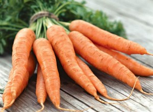 Морква - вирощування та догляд