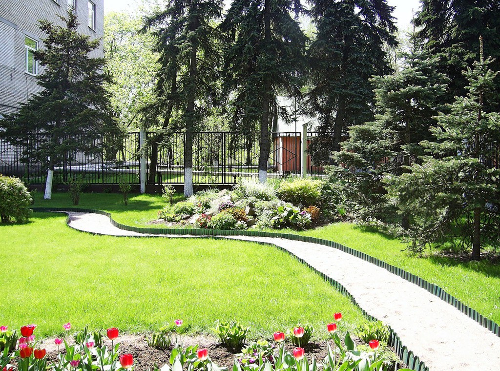 Сделаем Киев зеленым с компанией Садовые технологии