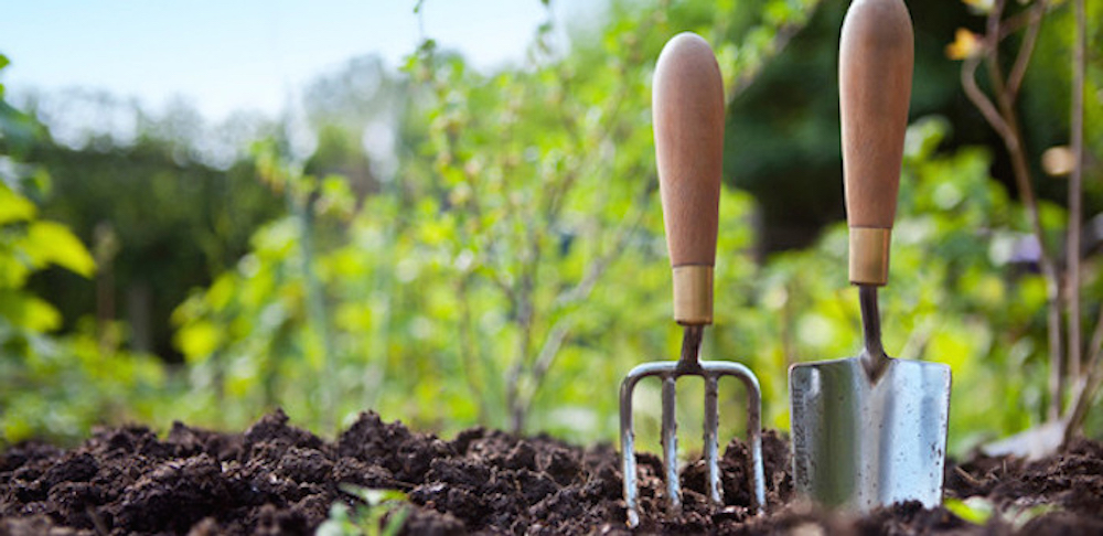Що робити в городі у квітні – корисні поради