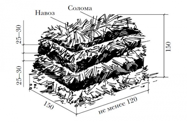 Схема приготування компосту для печериць