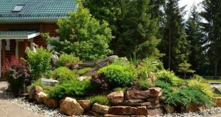 Альпийская горка – оптимальное декоративное решение в вашем саду