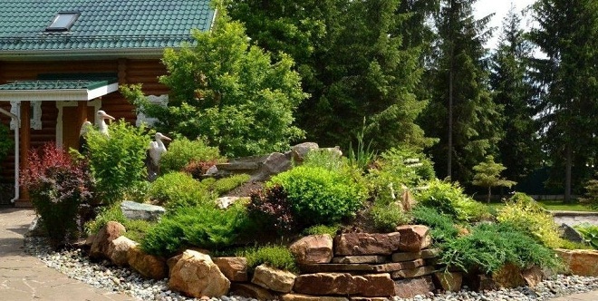 Альпийская горка – оптимальное декоративное решение в вашем саду