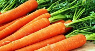 Як доглядати за морквою