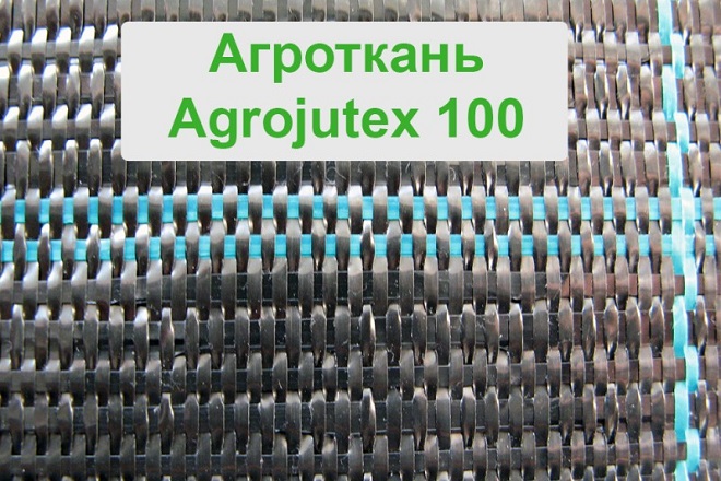 Агроткань Agrojutex 100