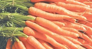 Чому не сходить морква