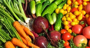 Як правильно вибирати насіння овочів