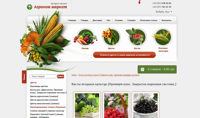 Преимущества покупки семян в интернете