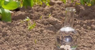 Аналіз ґрунту та перевірка на пестициди